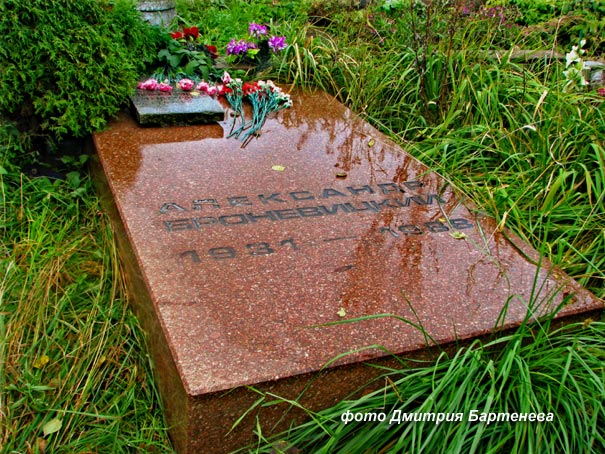 могила А.А. Броневицкого, фото Дмитрия Бартенева