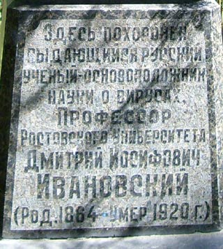 могила Д.И. Ивановского, фото Андрея Симонова