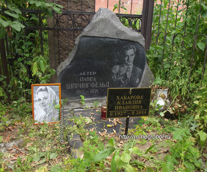 могила Павла Шпрингфельда, фото Двамала, 24 июля 2014 г. г. 